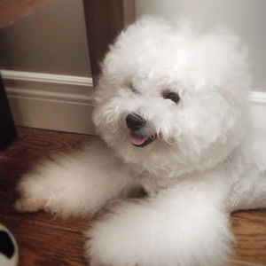 Meet your Posher, Doyoon